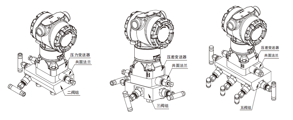 阀组直接安装 (变送器带共面法兰) 