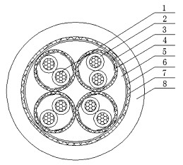 图2 电缆结构示意图
