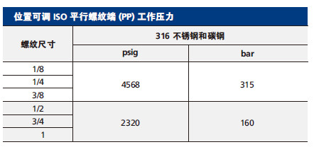 10 位置可调 ISO 平行螺纹端 (PP) 工作压力