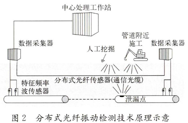 图2 分布式光纤振动检测技术原理示意